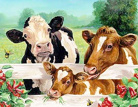 Animal Vaca Pintar por Números PBNCOWW04