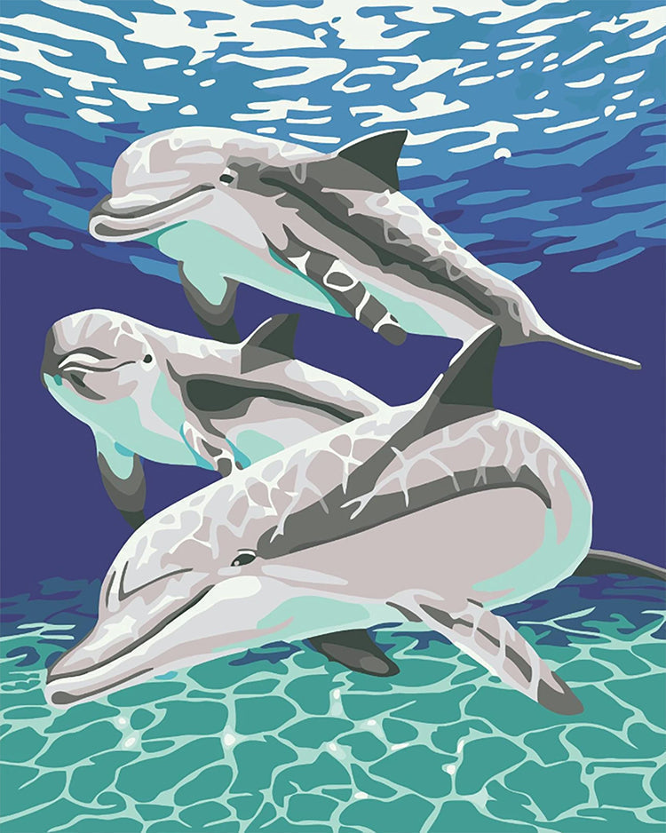 Animal Marino Delfines Pintar por Números PBNDOL005