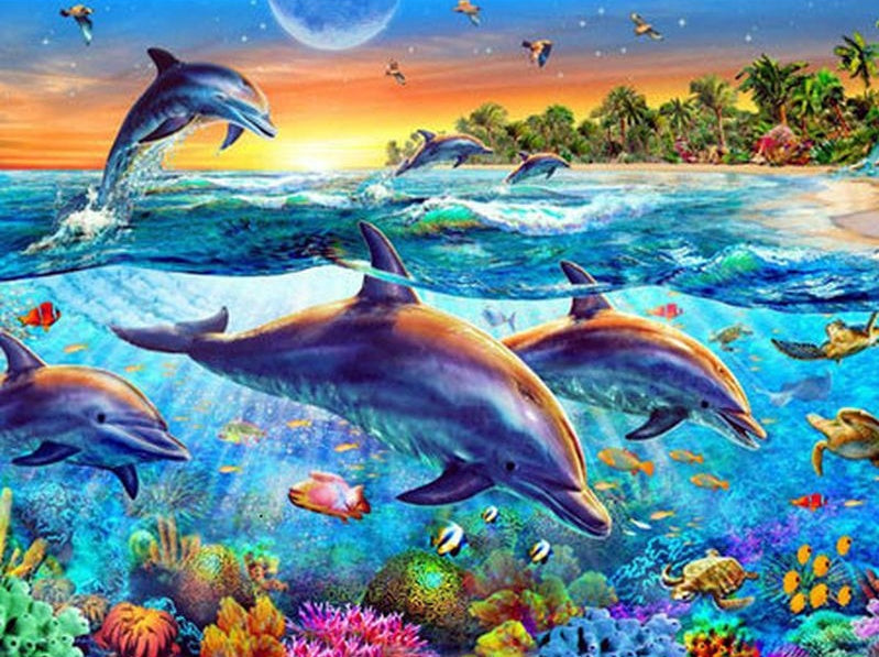 Animal Marino Delfines Pintar por Números PBNDOW001
