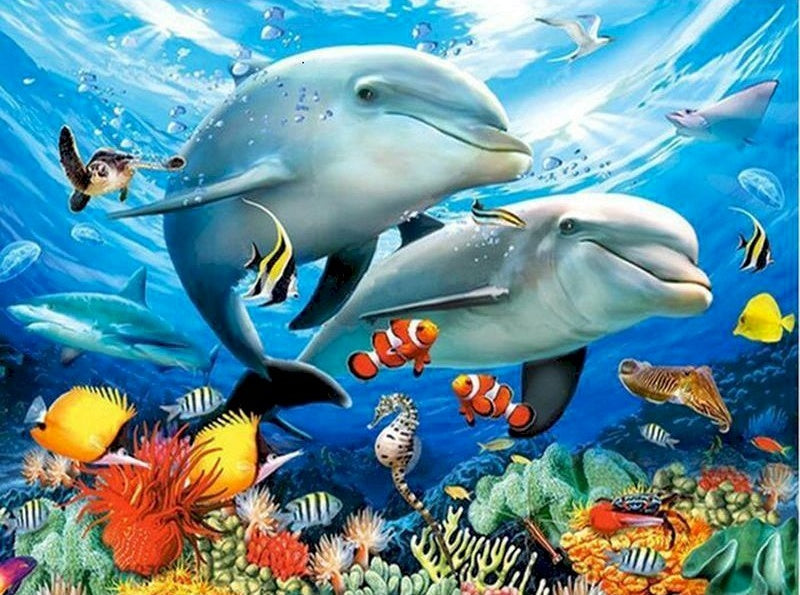 Animal Marino Delfines Pintar por Números PBNDOW004