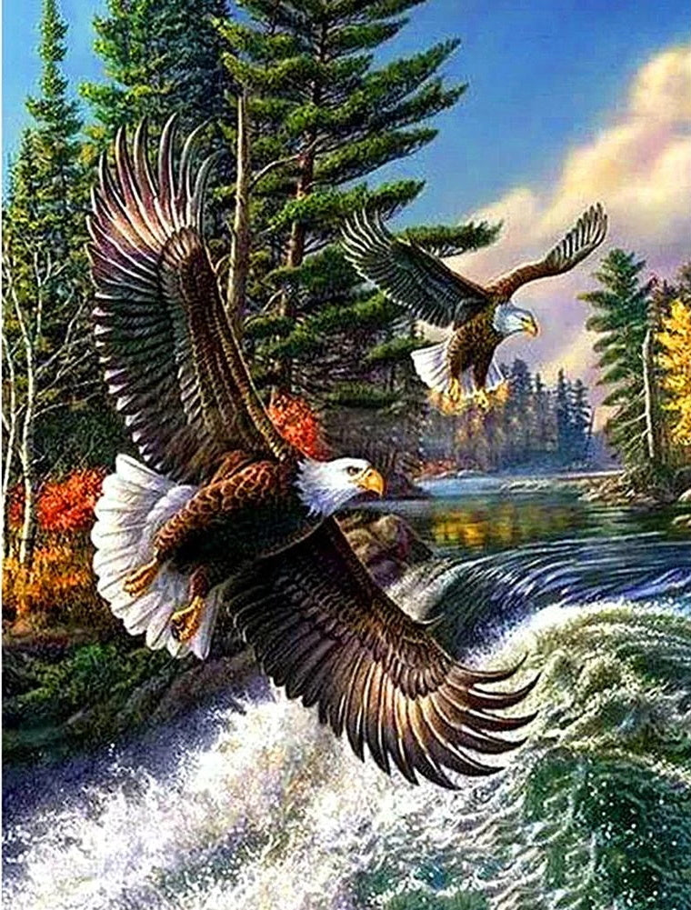 Animal Volador Águila Pintar por Números PBNEAGLEL003