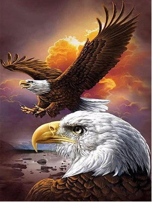 Animal Volador Águila Pintar por Números PBNEAGLEL005