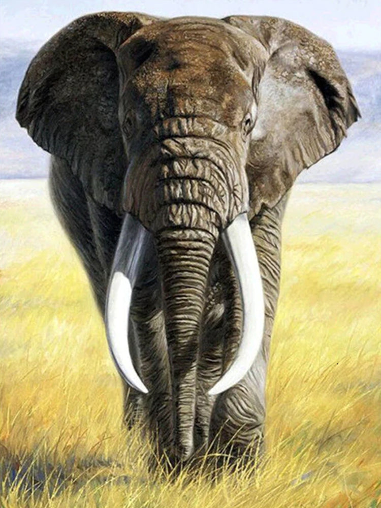 Animal Elefante Pintar por Números PBNELEL35