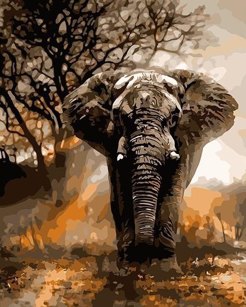 Animal Elefante Pintar por Números PBNELEN14