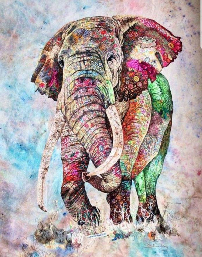 Animal Elefante Pintar por Números PBNELEN20