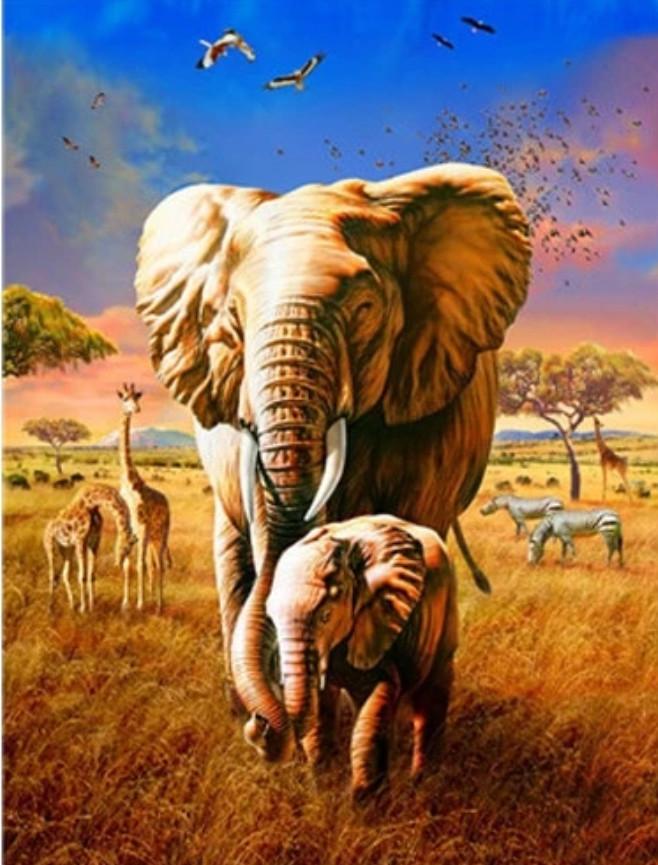 Animal Elefante Pintar por Números PBNELEN39