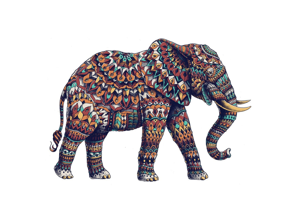 Animal Elefante Pintar por Números PBNELEW15