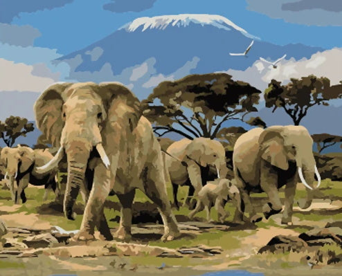 Animal Elefante Pintar por Números PBNELEW21