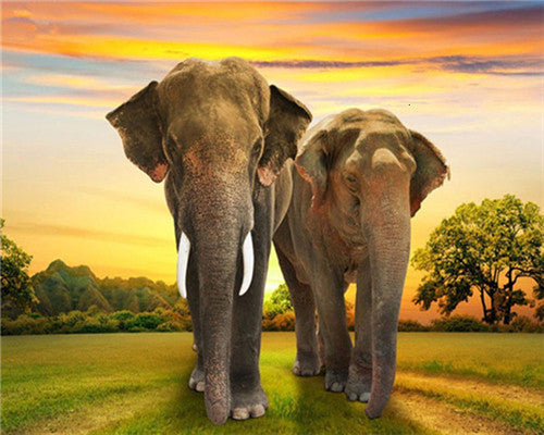 Animal Elefante Pintar por Números PBNELEW36