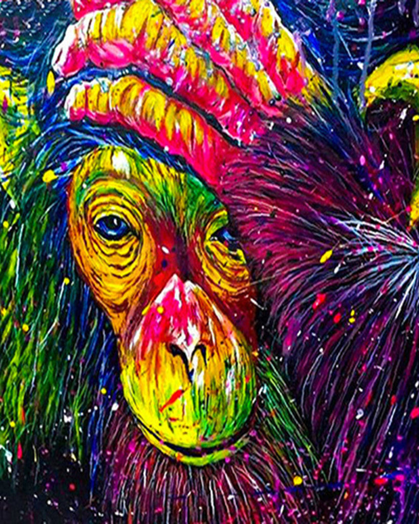 Animal Mono Pintar por Números PBNMONL14