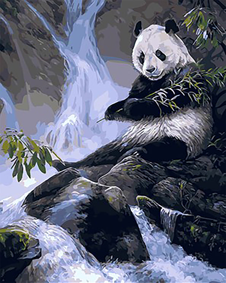 Animal Panda Pintar por Números PBNPANL26