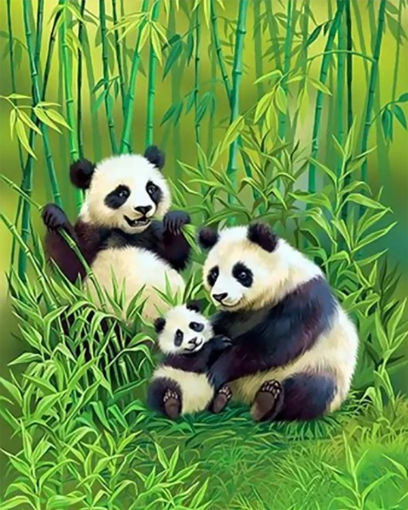 Animal Panda Pintar por Números PBNPANL30