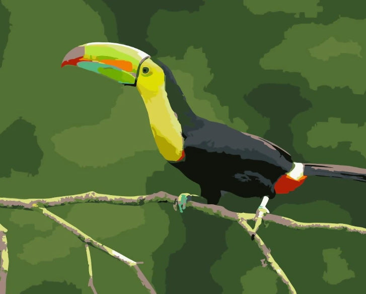 Animal Volador Loro Pintar por Números PBNPARW003