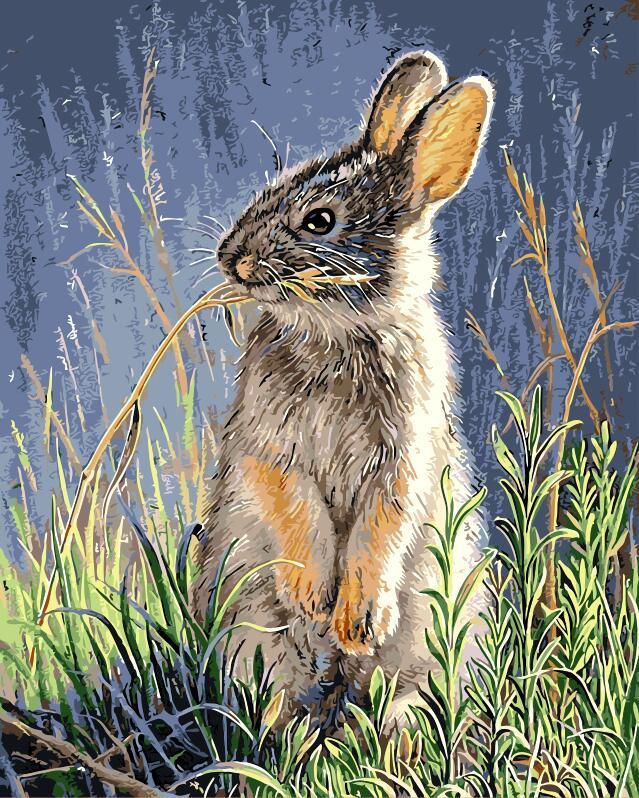 Animal Conejo Pintar por Números PBNRABL14