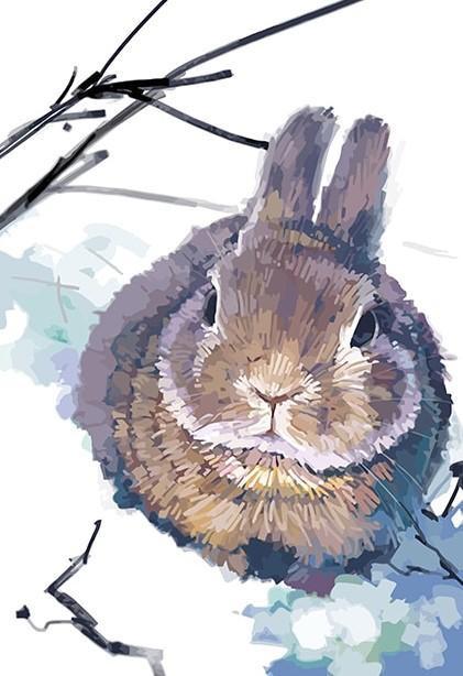 Animal Conejo Pintar por Números PBNRABL15