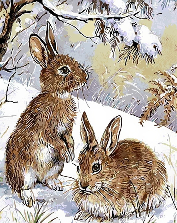 Animal Conejo Pintar por Números PBNRABL30