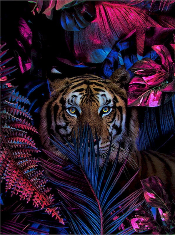 Animal Tigre Pintar por Números PBNTIGL48