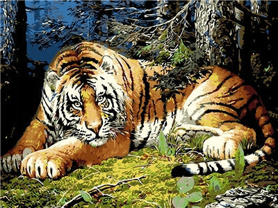 Animal Tigre Pintar por Números PBNTIGW32