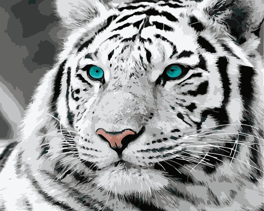 Animal Tigre Pintar por Números PBNTIGW38