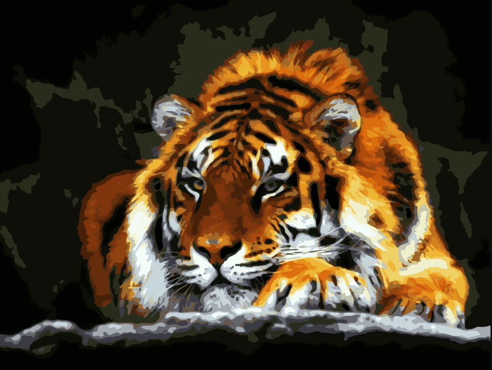 Animal Tigre Pintar por Números PBNTIGW44