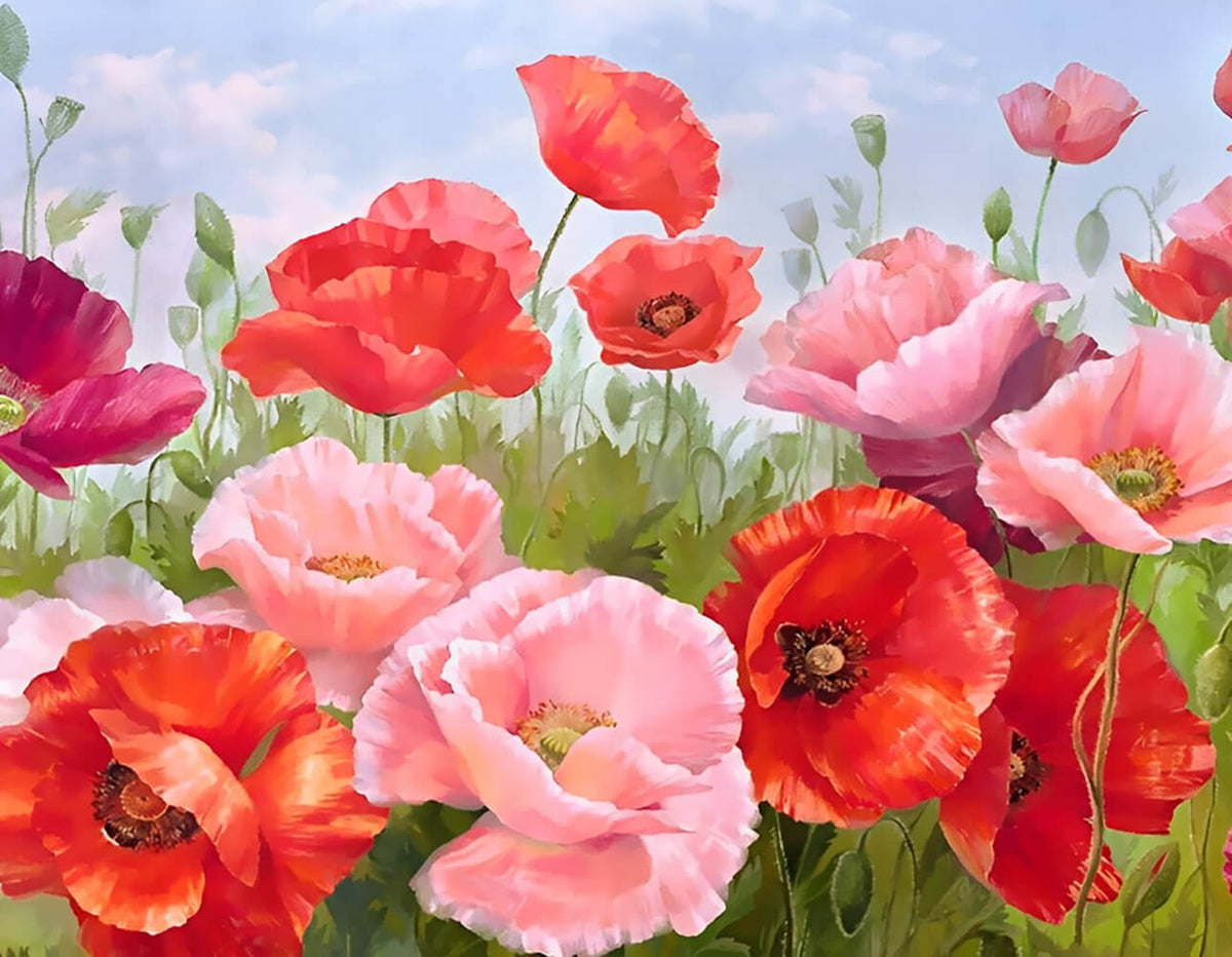 Kit De Pintura Por Números De Amapolas Para Adultos, Lienzo De 40x50 Cm Sin Marco, Con Pinturas Acrílicas Y 3 Pinceles, Manualidad Relajante Y Decorativa