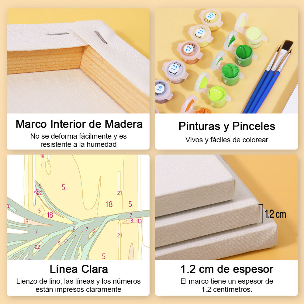 Aceite de Nuez 6 Partes Mini Pintar por Números