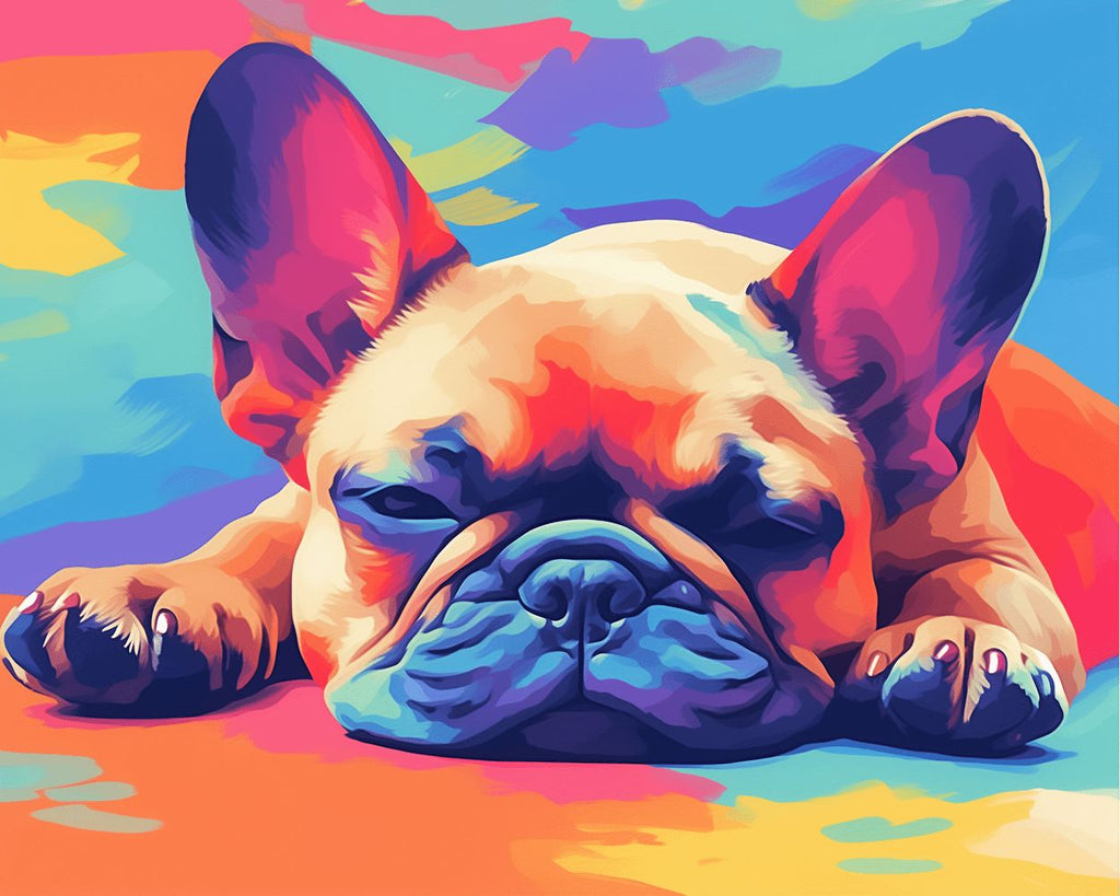 Bulldog de Colores Tirado en el Suelo Pintar por Números