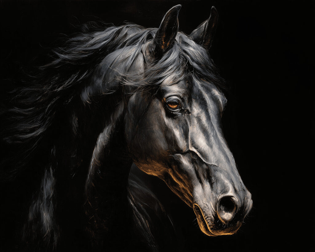 Caballo Negro en la Oscuridad Pintar por Números
