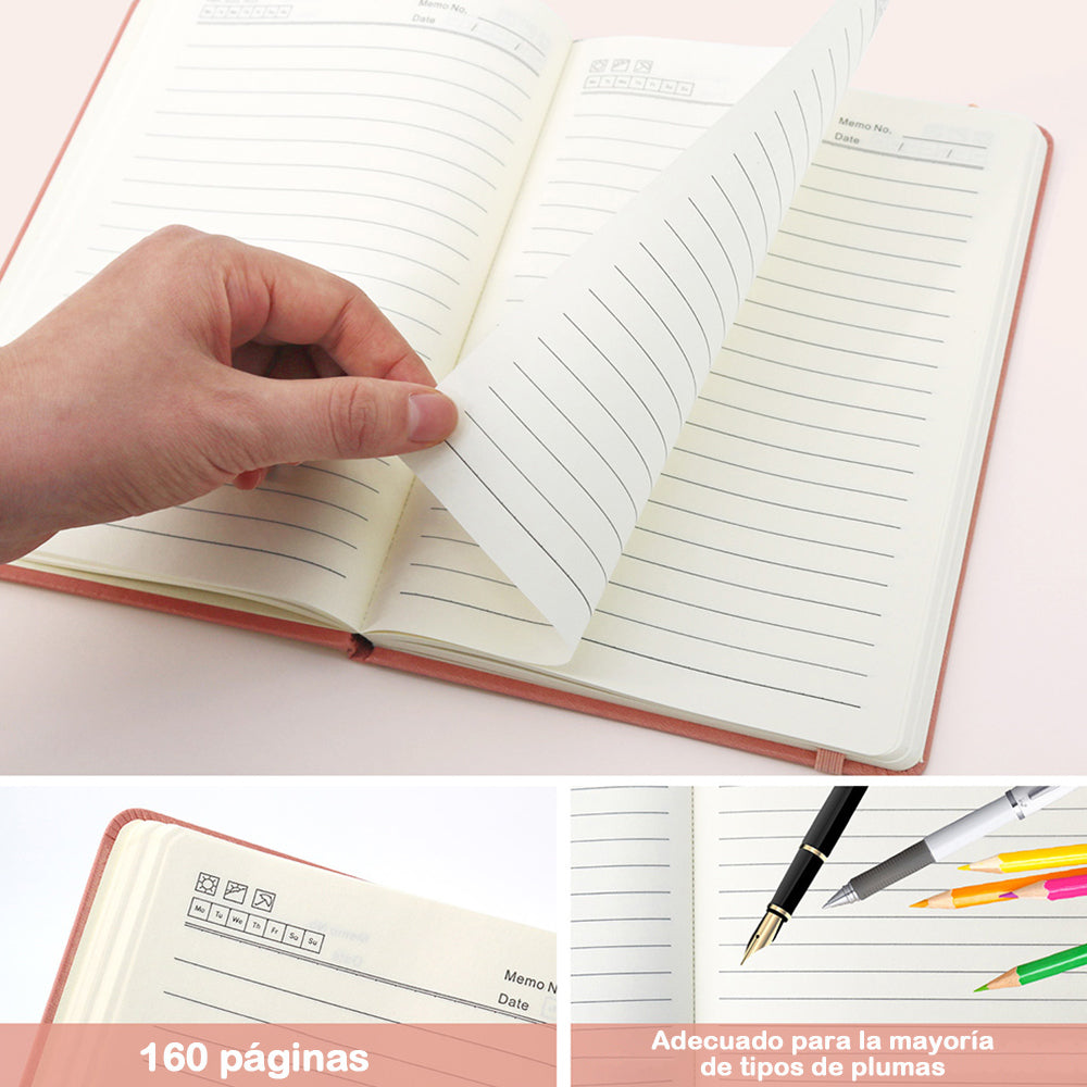 Cactus en Flor en Maceta Cuaderno Pintar por Números