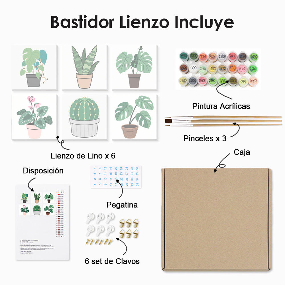Cactus y Plantas Verdes en Macetas 6 Partes Mini Pintar por Números