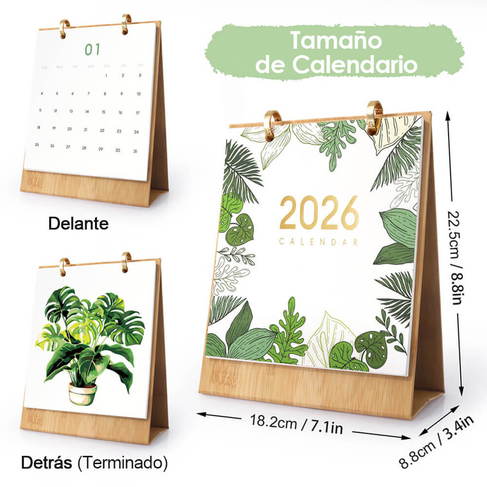 Calendario de Escritorio 2026 Pintar por Números | Plantas Verdes en Macetas