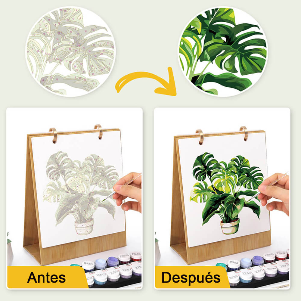 Calendario de Escritorio 2026 Pintar por Números | Plantas Verdes en Macetas