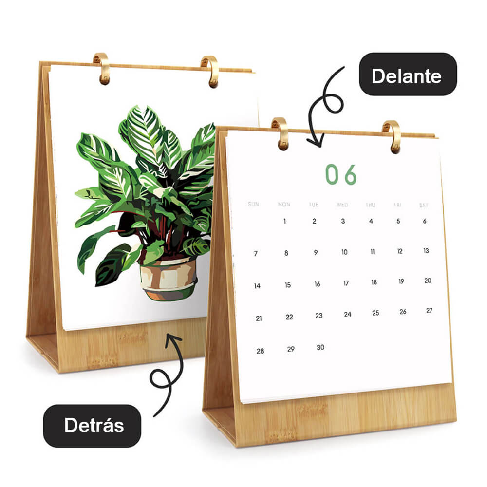 Calendario de Escritorio 2026 Pintar por Números | Plantas Verdes en Macetas