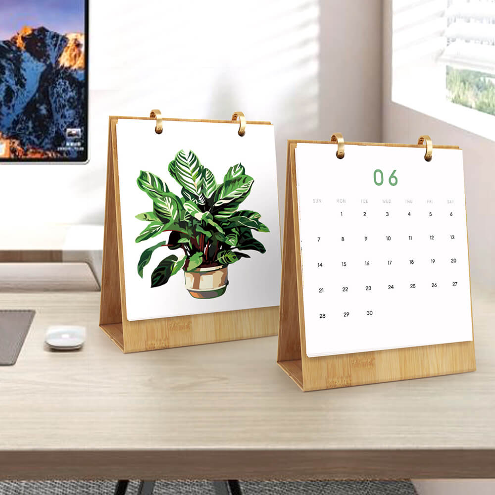Calendario de Escritorio 2026 Pintar por Números | Plantas Verdes en Macetas