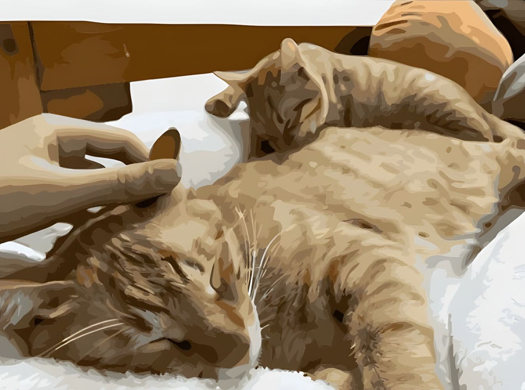 Dos Gatos Naranjas Durmiendo en la Cama Pintar por Números