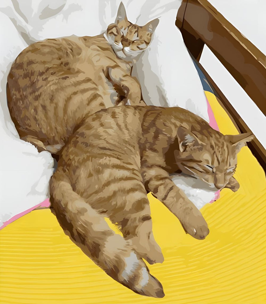 Dos Gatos Naranjas Durmiendo Pintar por Números