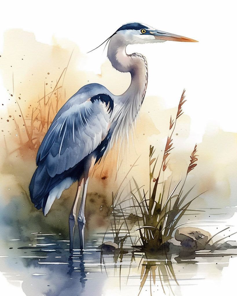 Garceta en Agua Pintar por Números
