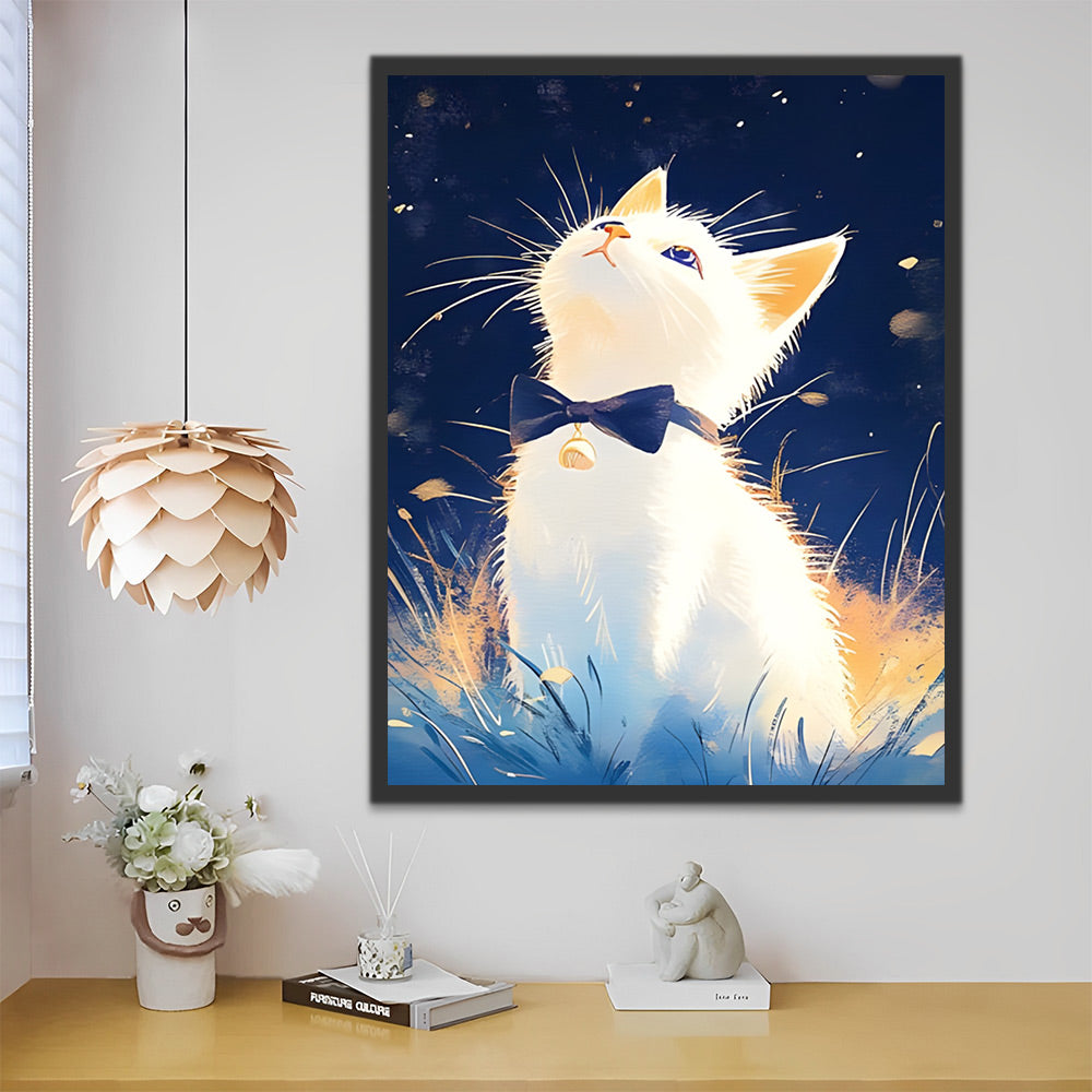 Gato Blanco Lindo Mirando Cielo Estrellado Pintar por Números