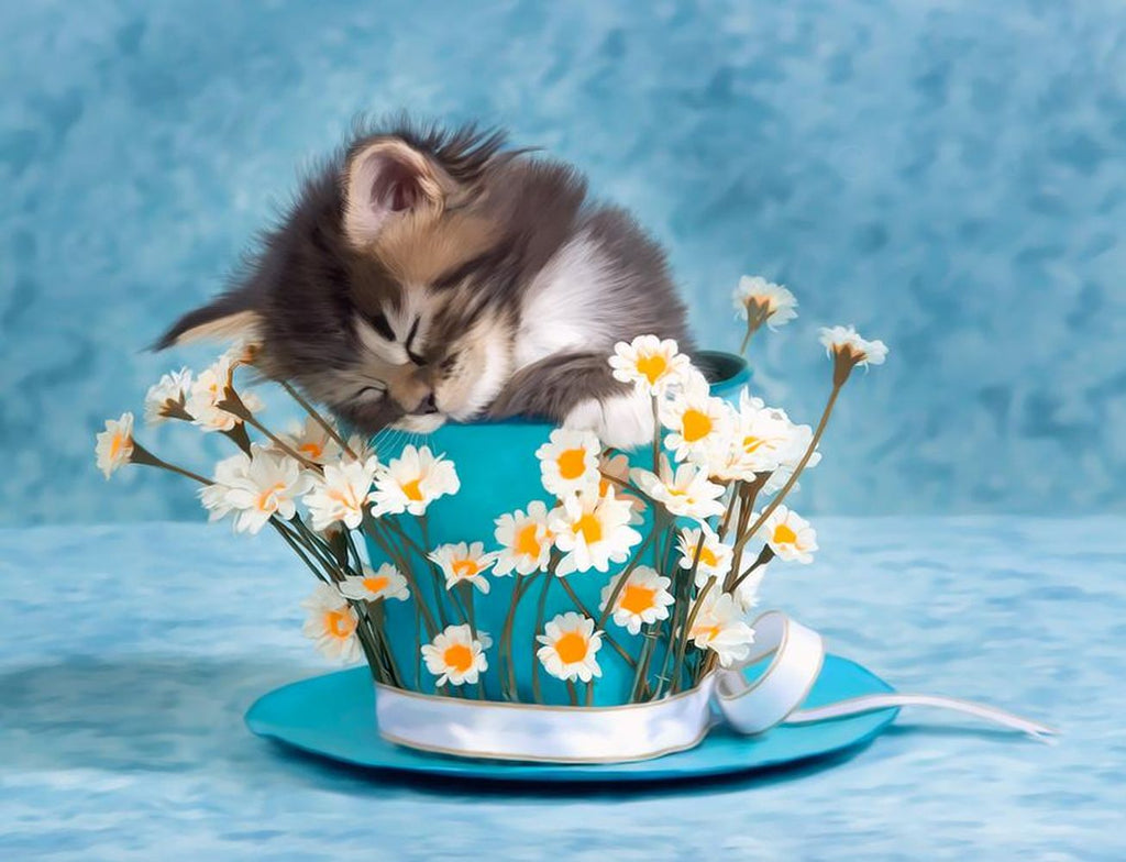 Gato Durmiendo sobre un Sombrero Decorado con Camomila Pintar por Números