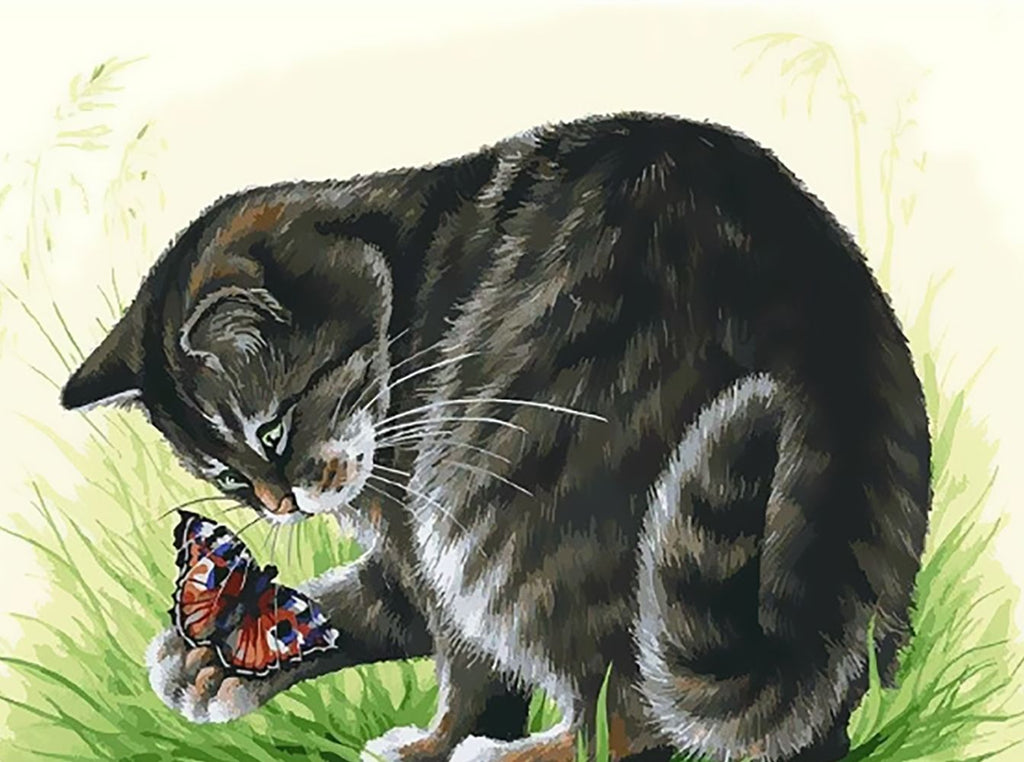 Gato Negro Observando una Mariposa en Su Mano Pintar por Números