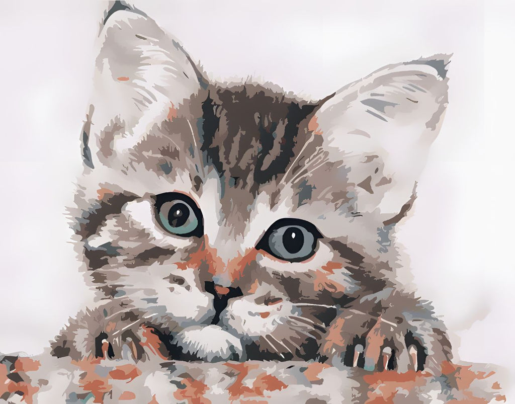 Gato Pequeño con los Ojos Verdes Pintar por Números