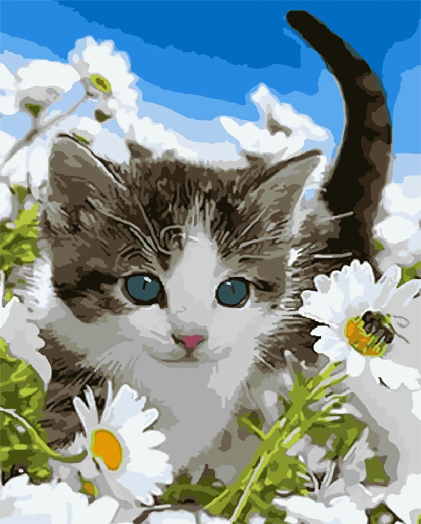 Gato Rodeado de las Flores de Camomilas Pintar por Números