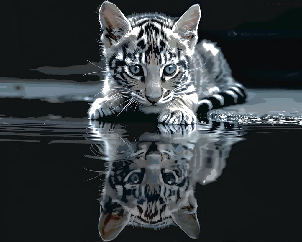 Gato y Su Reflejo en el Agua Pintar por Números