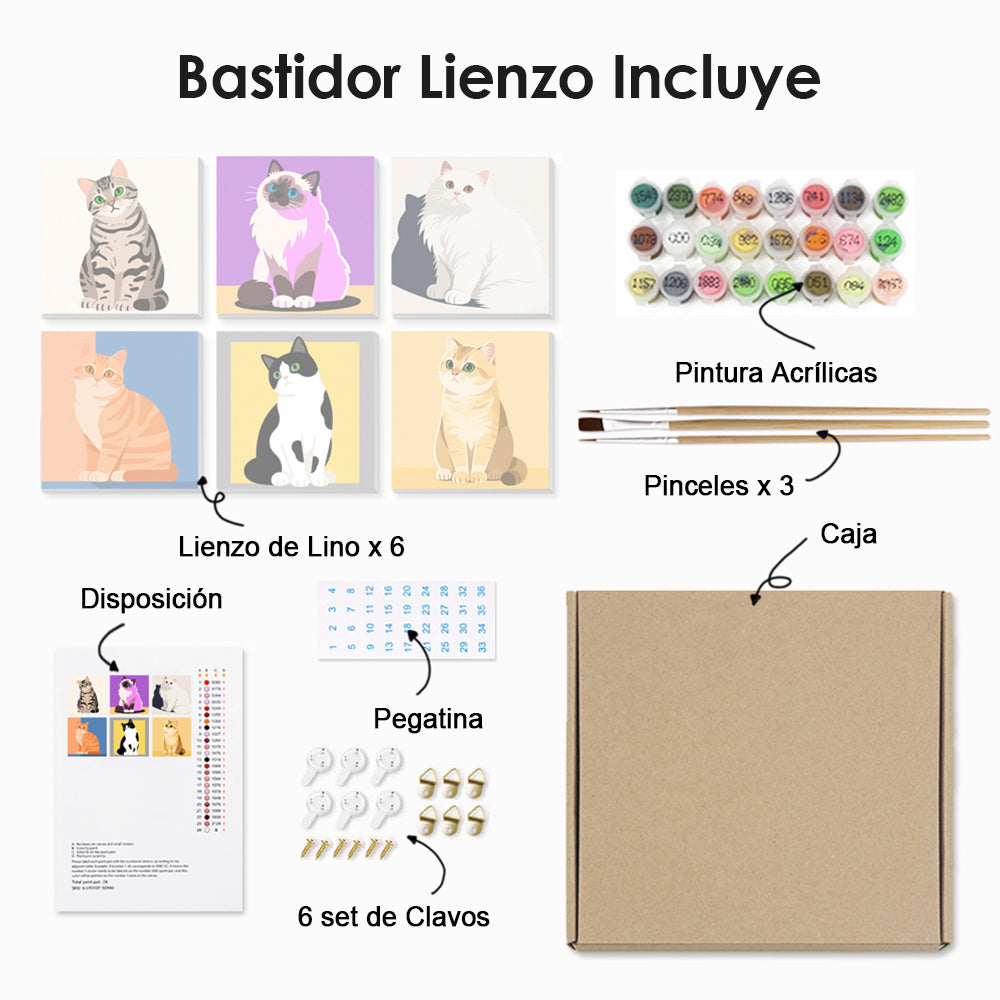 Gatos Tranquilos 6 Partes Mini Pintar por Números