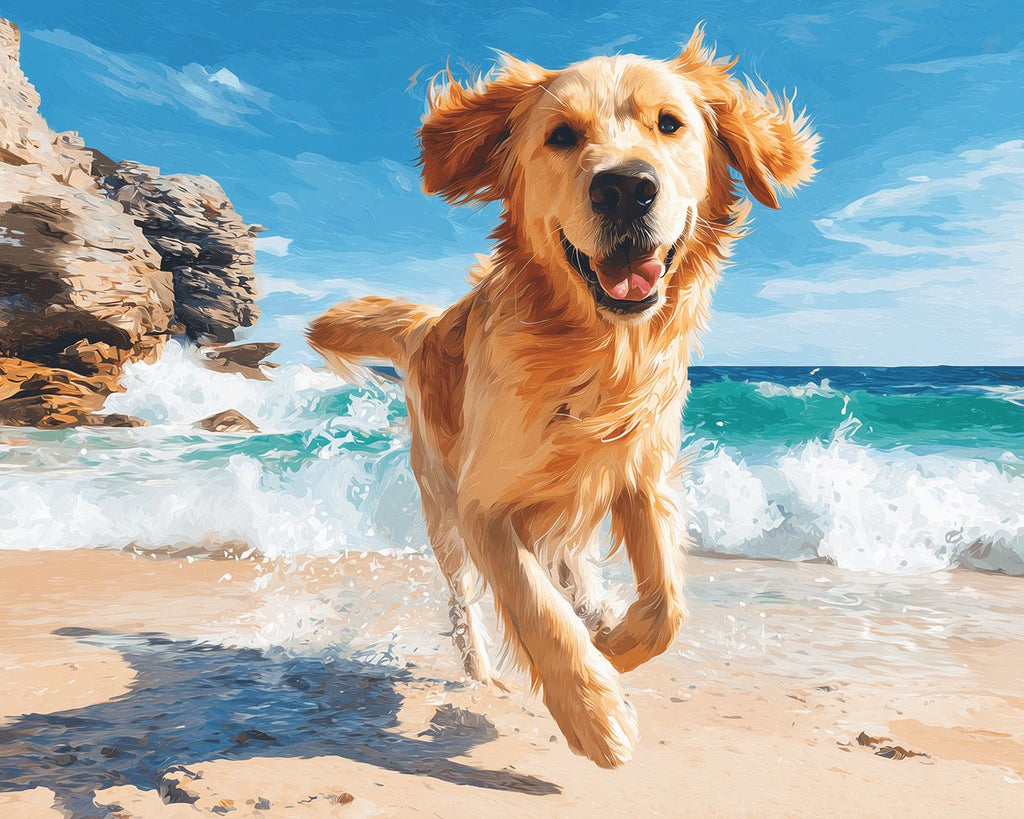 Golden Retriever Corriendo con Felicidad Junto al Mar Pintar por Números