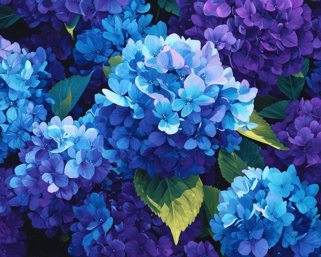 Hortensias Azules y Moradas Ricas Pintar por Números