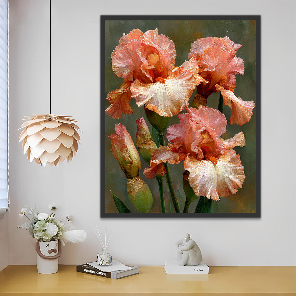 Iris Rosados Pintar por Números