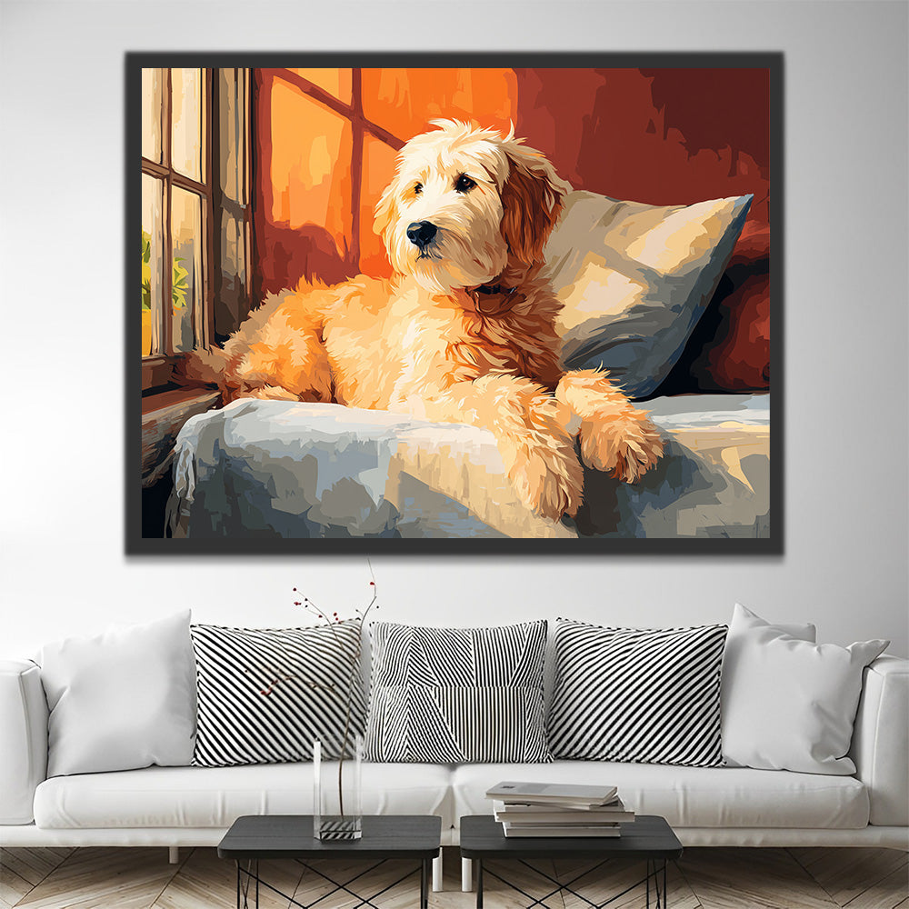 Labradoodle Mirando por la Ventana Pintar por Números