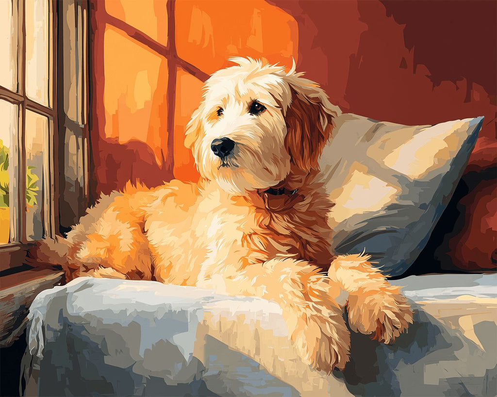 Labradoodle Mirando por la Ventana Pintar por Números
