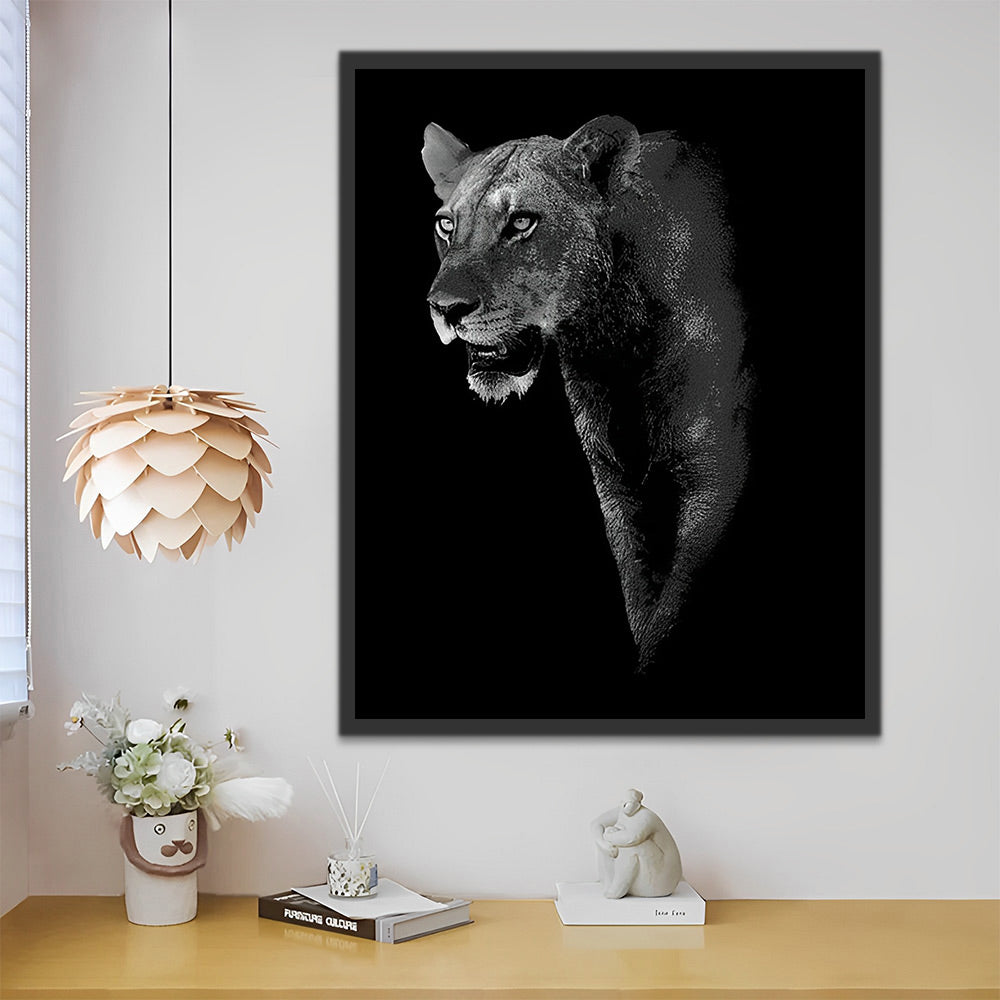 Leopardo en la Oscuridad con un Fondo Negro Pintar por Números